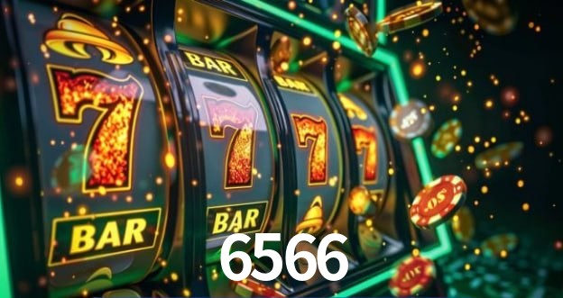 Sistemas de Segurança 6566